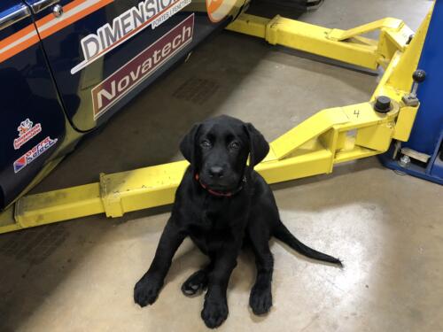 2020-06-14 IMG 5742 (1) (1)